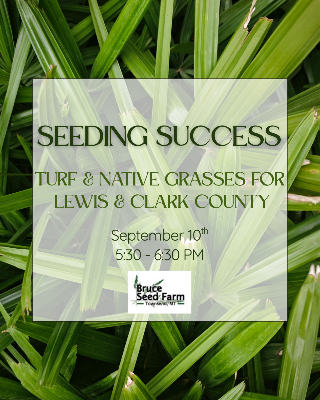 Seeding Success.png