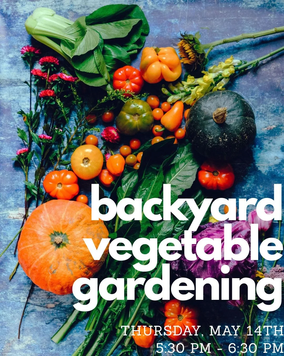 backyard vegetable gardening.jpg