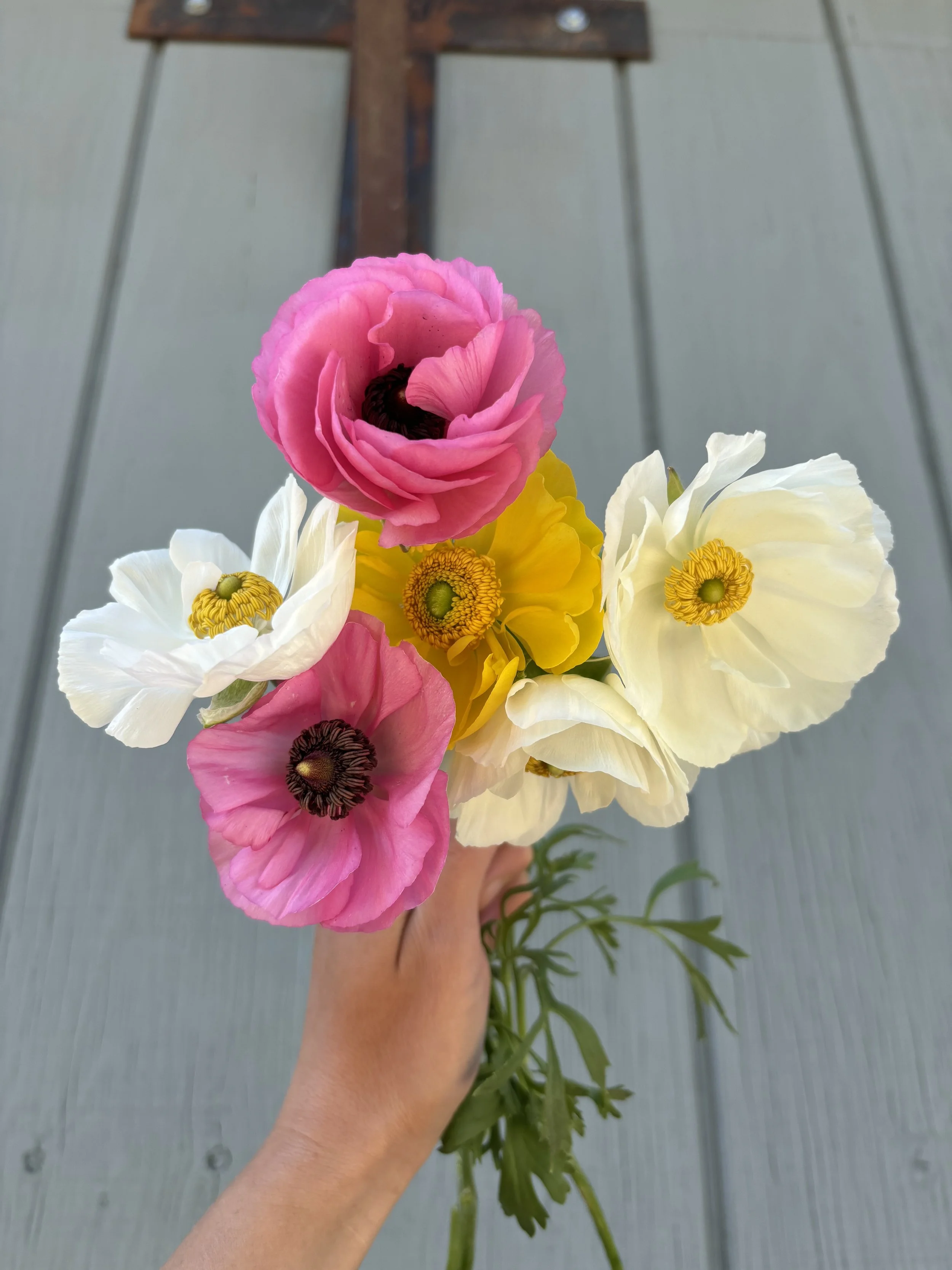 Shop — Gardenwerks