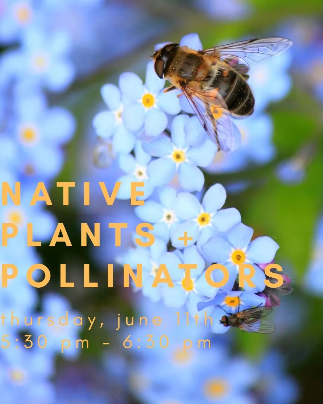 Your paragraph text.jpg