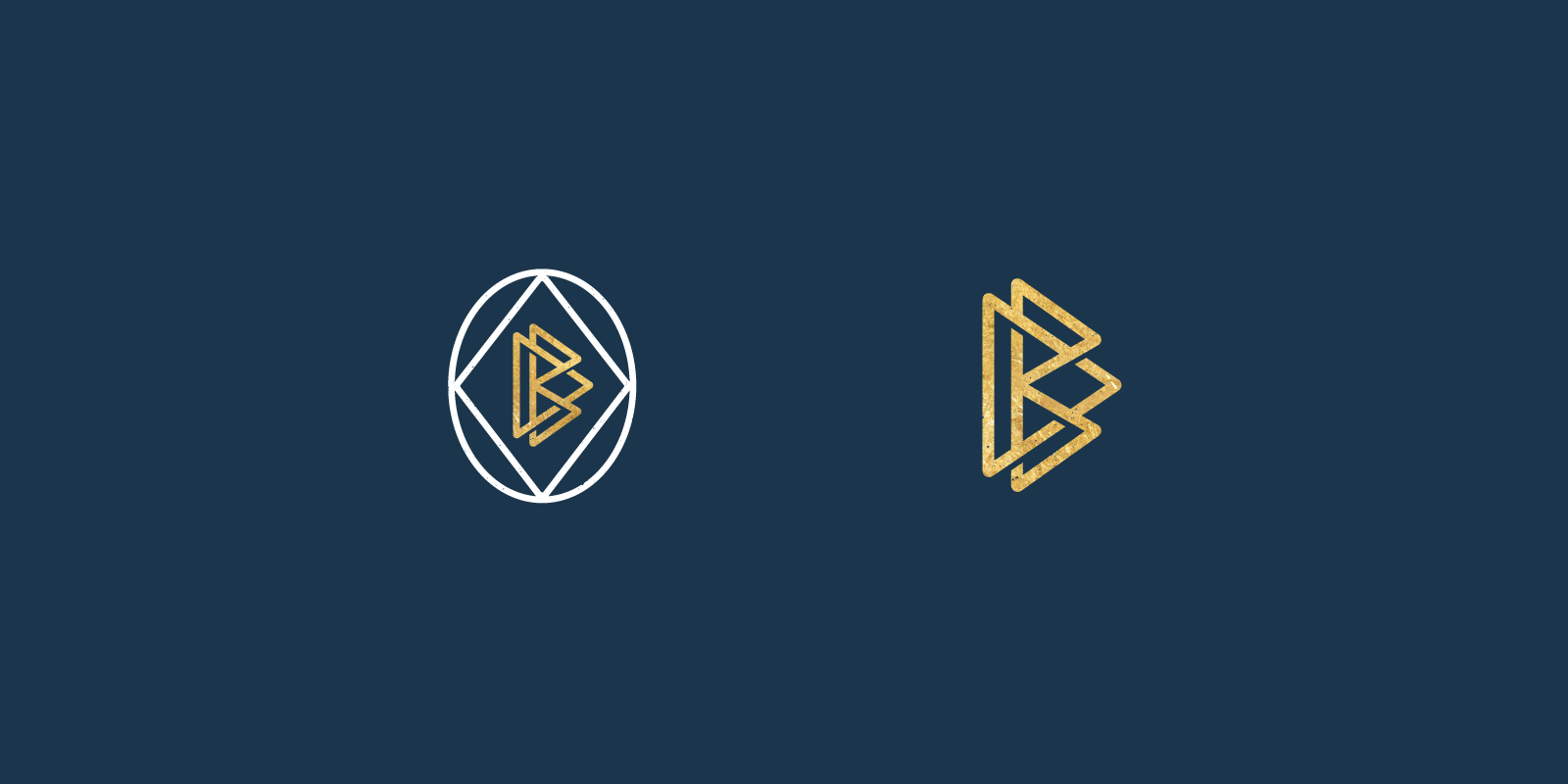  Supporting icons for brand depth and flexibility. 