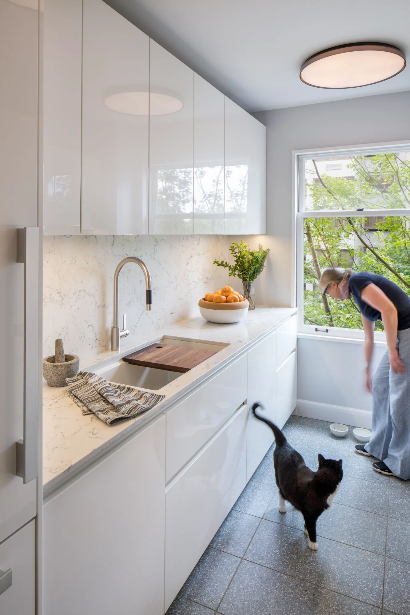 Woman feeding cat in a white gloss kitchen in Seattle, Washington.