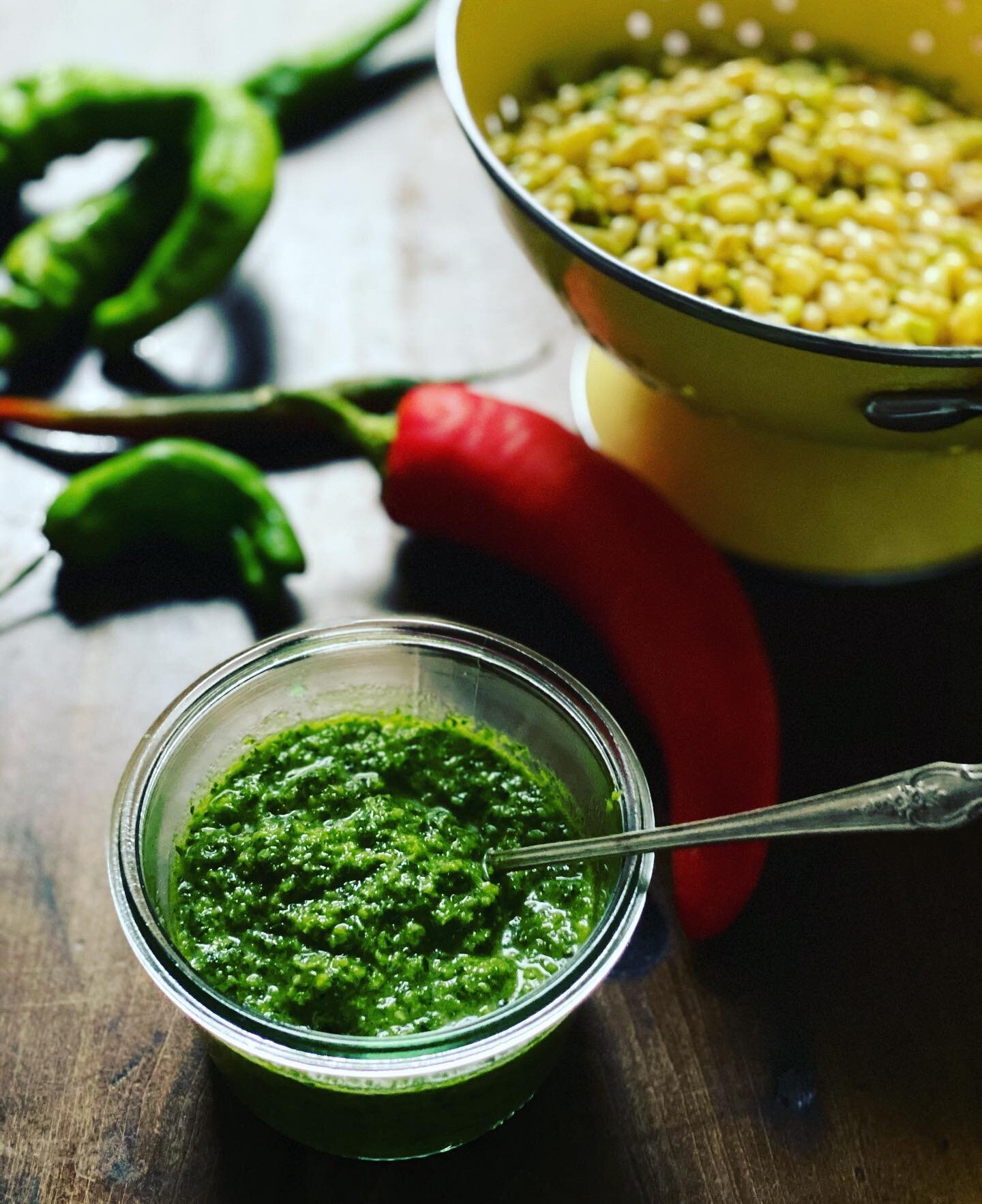 Peppers and peas are in season. Make  this hot sauce called Skhug from @iamskylarbush that uses lots and toss with lady peas which you&rsquo;ll find at the @richlandparkfarmersmarket and @nashvillefarmersmarket now! Then top with creamy burrata (whic