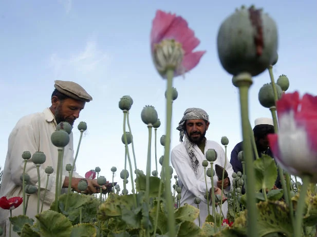 The Complex Ties Among Poverty, Development, and Security