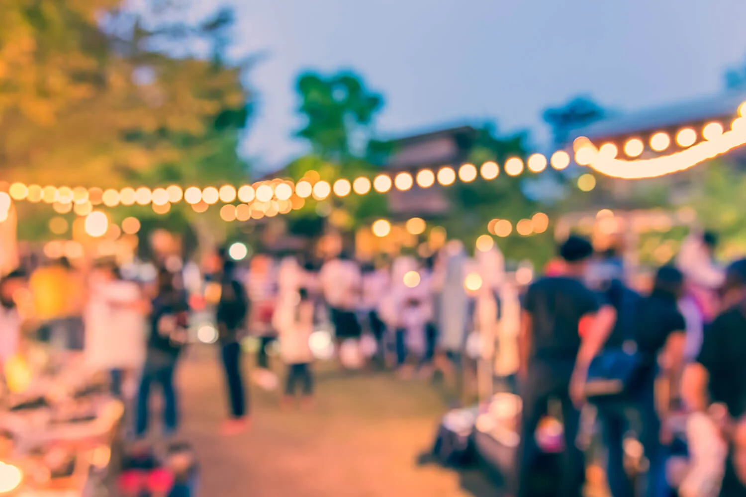 Party Catering Specials Banner.jpg