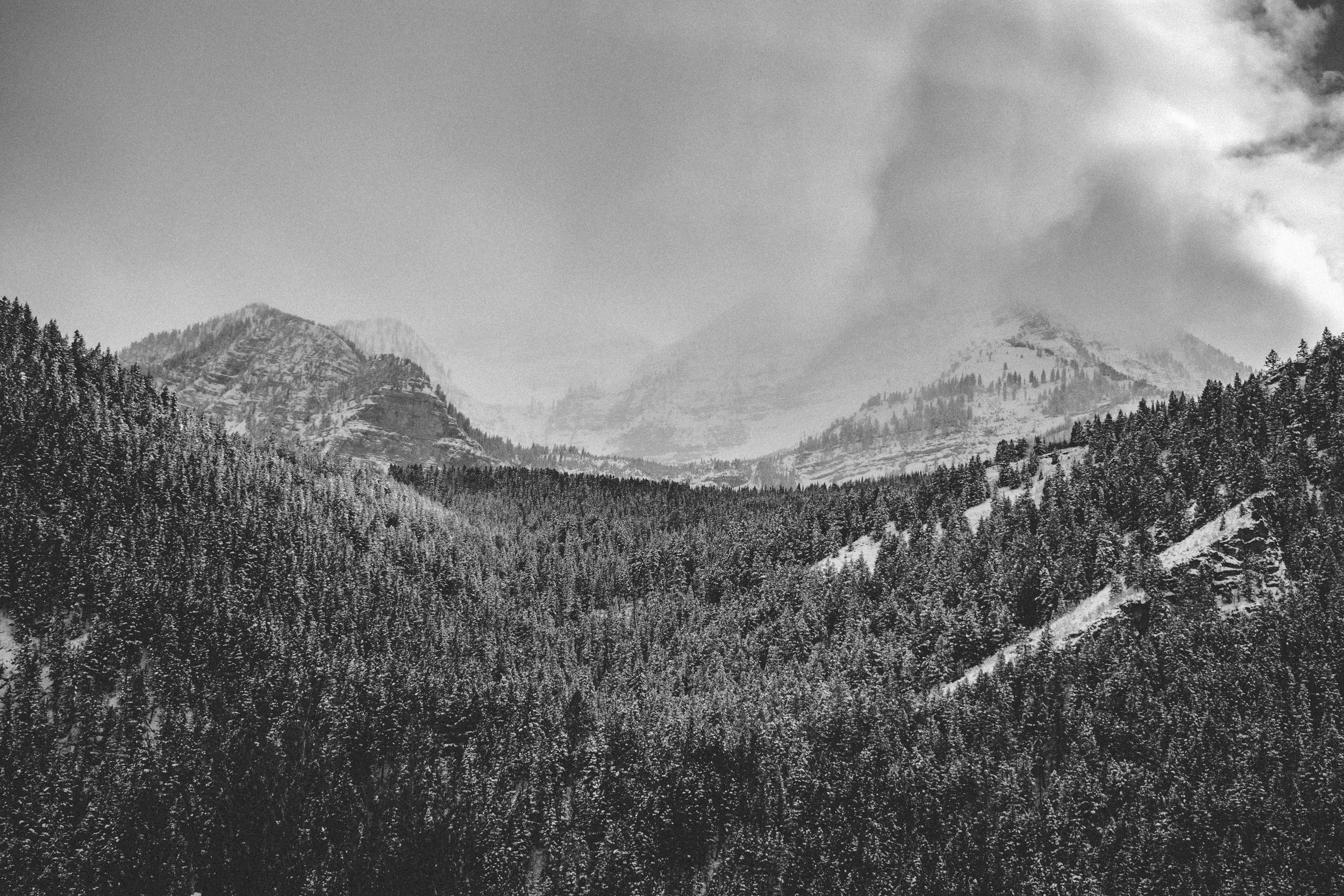DSC_0774.jpg
