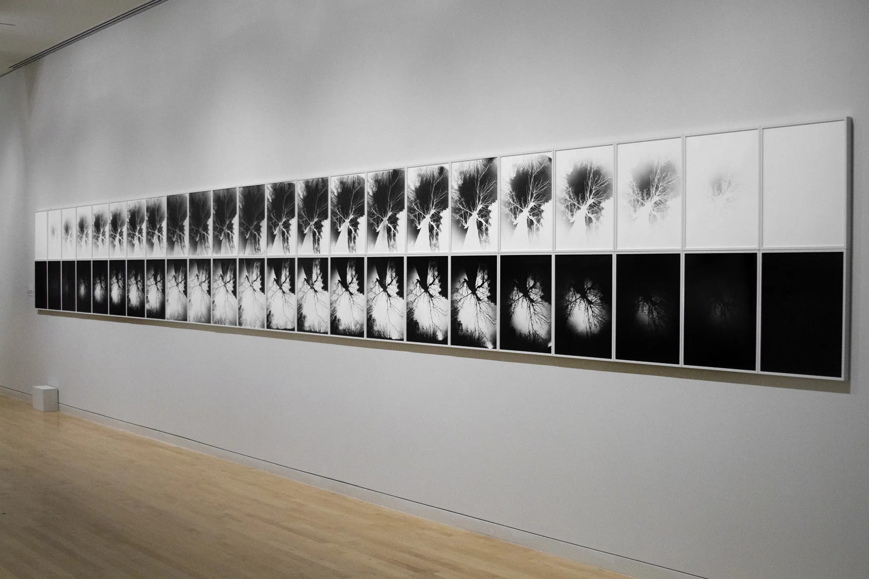 Solstice , 2015-16, 46 gelatin silver prints, installation view at the Georgia Museum of Art, 40.5 x 391 in.