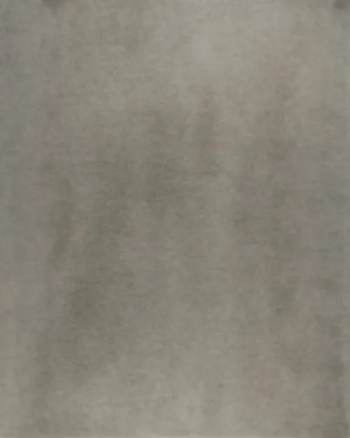 Morning Song (Morning Fog on Fogged Paper) No. 1 , 2015, detail, gelatin silver print, 20 x 16 in.