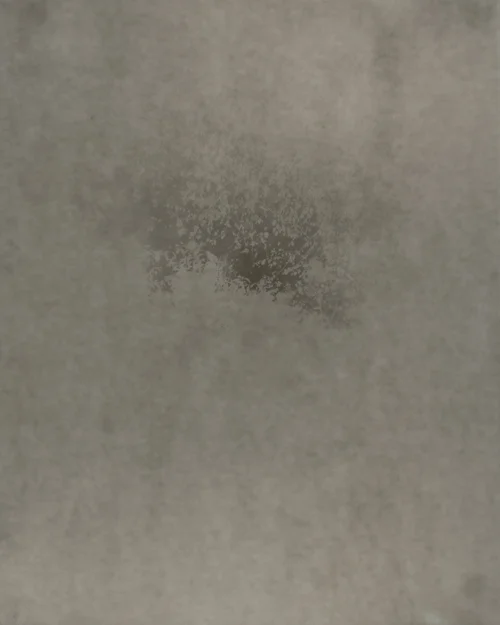 Morning Song (Morning Fog on Fogged Paper) No. 8 , 2015, detail, gelatin silver print, 20 x 16 in.