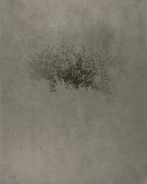 Morning Song (Morning Fog on Fogged Paper) No. 11 , 2015, detail, gelatin silver print, 20 x 16 in.