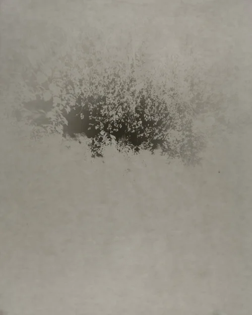 Morning Song (Morning Fog on Fogged Paper) No. 18 , 2015, detail, gelatin silver print, 20 x 16 in.