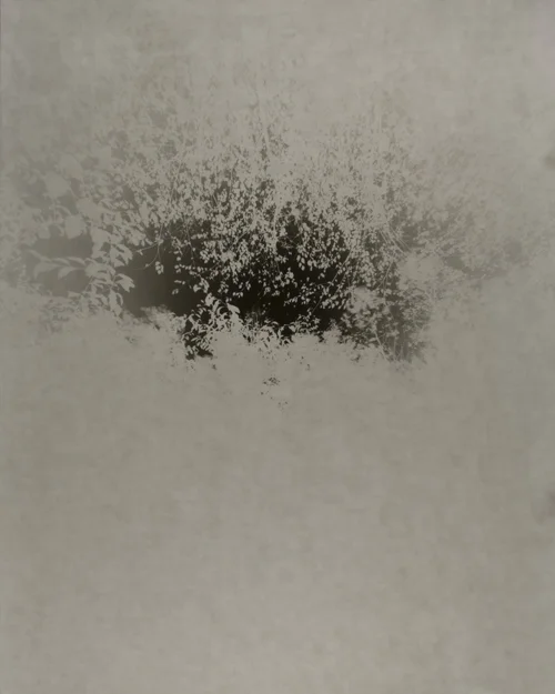 Morning Song (Morning Fog on Fogged Paper) No. 19 , 2015, detail, gelatin silver print, 20 x 16 in.