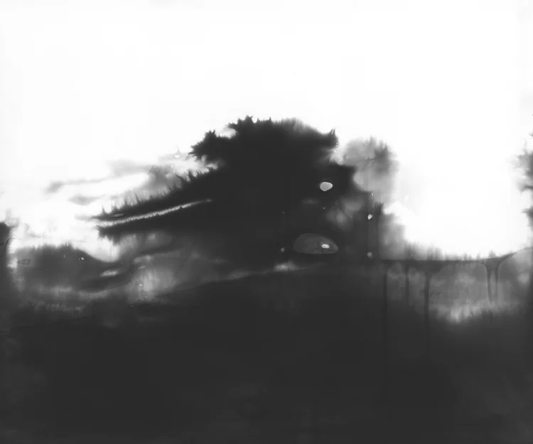 from Capturing the Infinity of the Sea or Field (Cozen) series, gelatin silver print, 20 x 24 in.