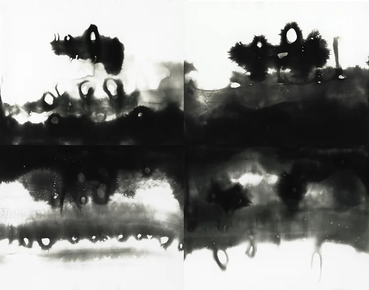 from Capturing the Infinity of the Sea or Field (Cozen) series, gelatin silver prints, 11 x 14 in. each, 22 x 28 in. total