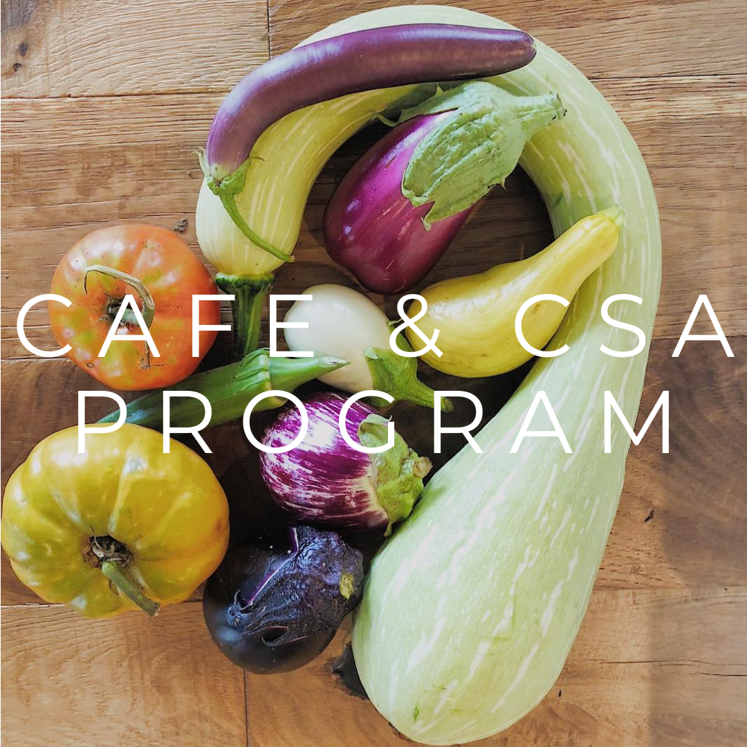 CAFE AND CSA PROGRAM (1).png