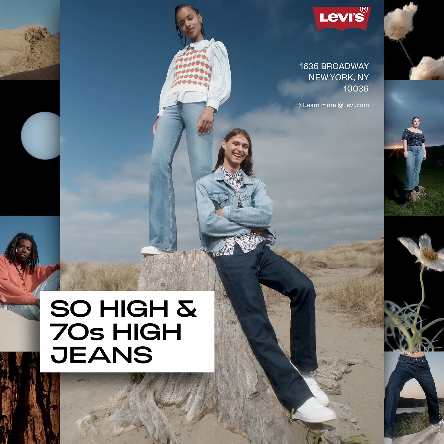 Levis - Store DIsplay