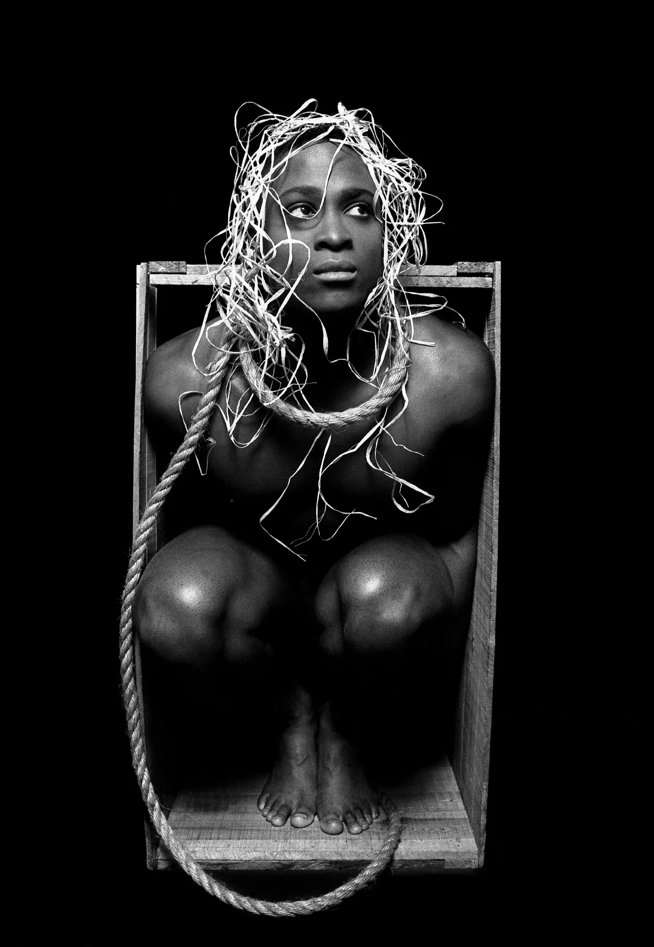 Michael Chambers, Sunflower , 1994, Archival fiber based silver gelatin print.