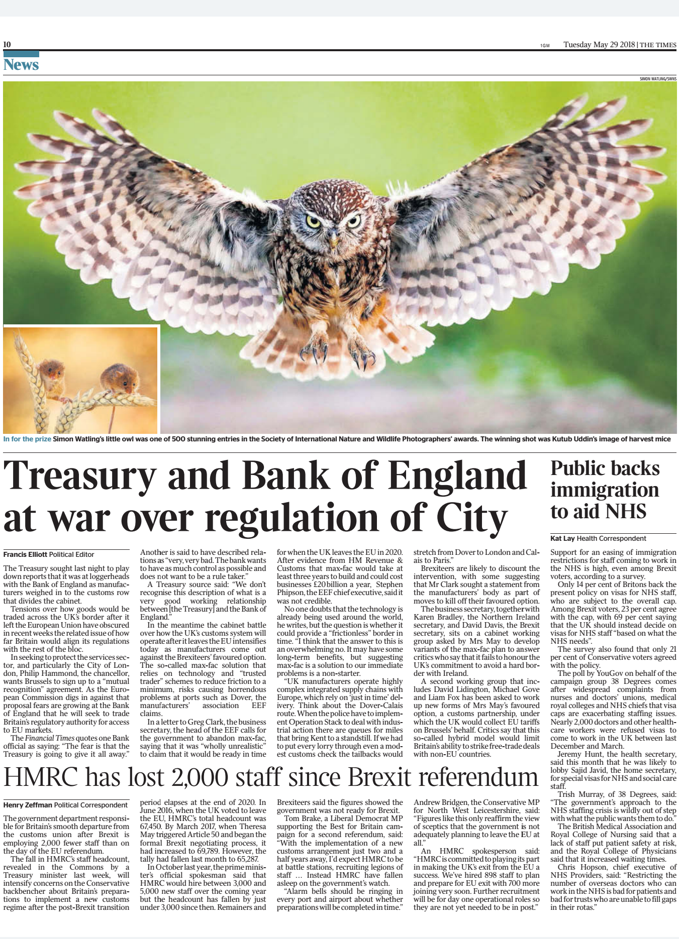 My Little Owl image makes the Times
