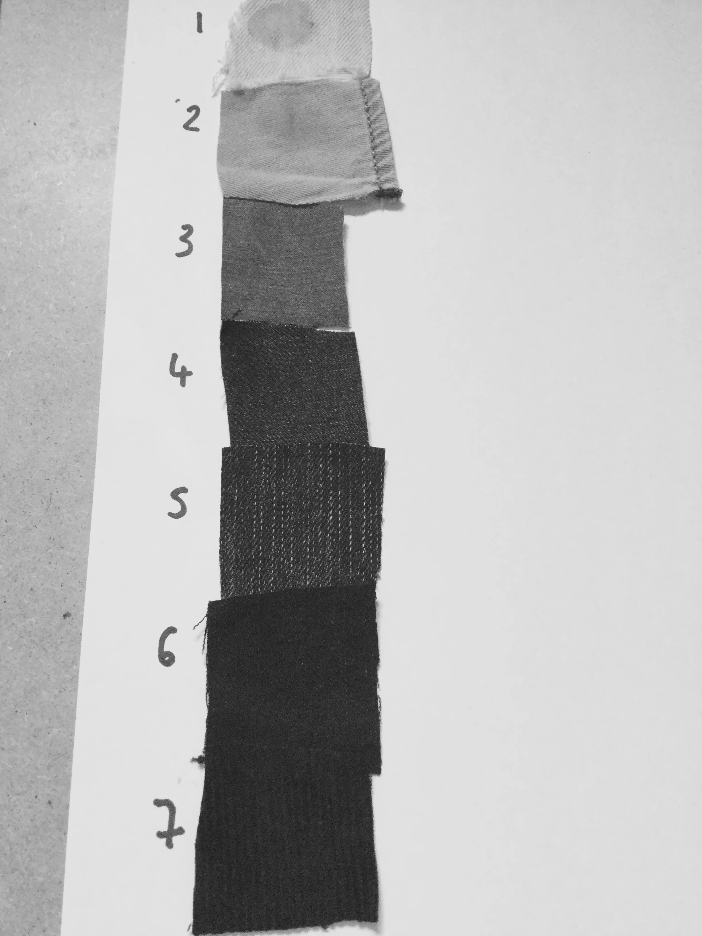 FullSizeRender 9.jpg