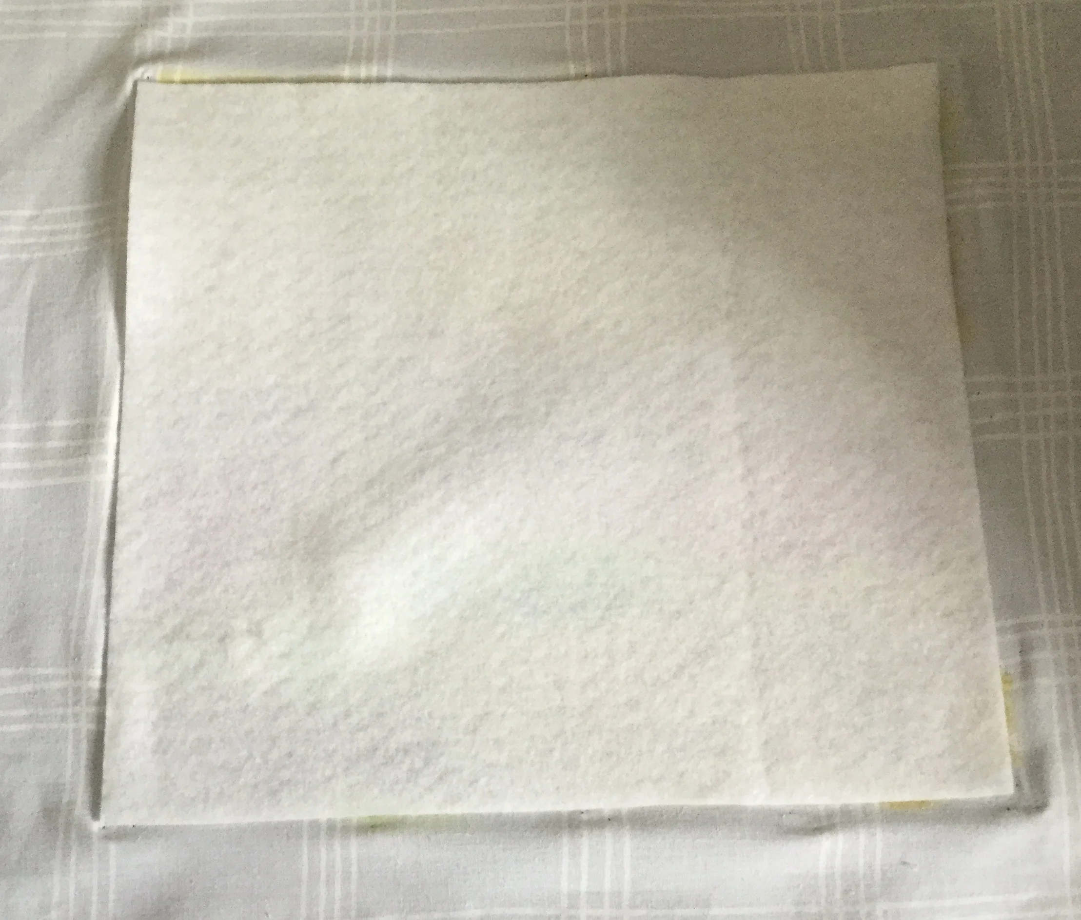 FullSizeRender 19.jpg