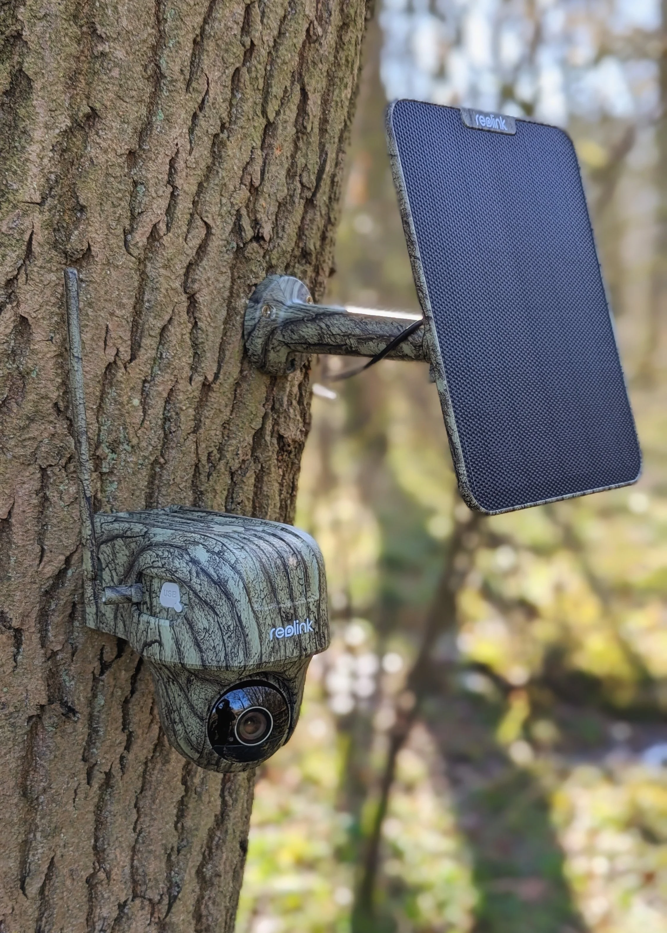 Utilising Reolink Solar Powered Cameras for Wildlife Monitoring — SIMON ...