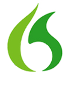 Dragon Voice partner