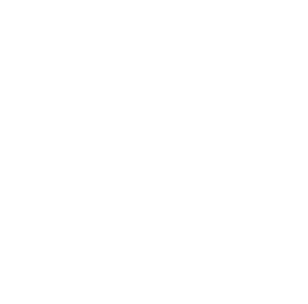 Apollo Fitness