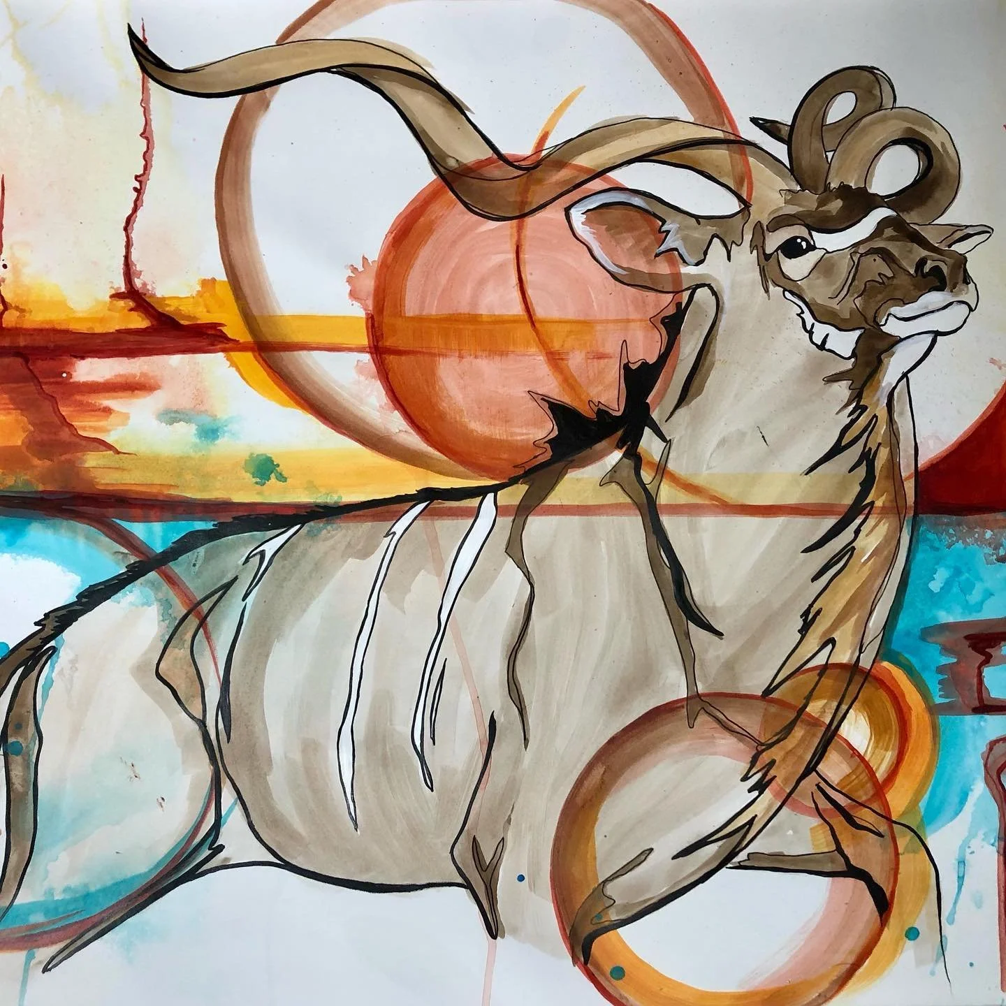 Kudu.jpg