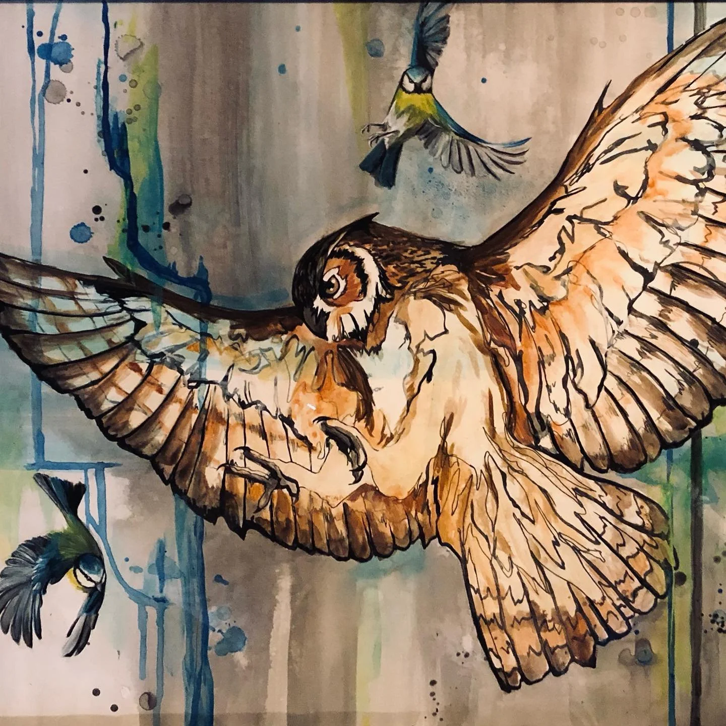 owl3.jpg