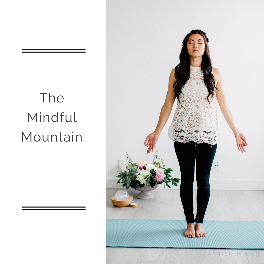 darrien fertility coaching series 1.png