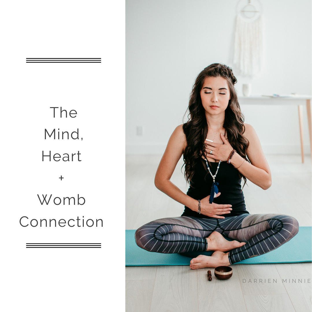 darrien fertility coaching series 3.png