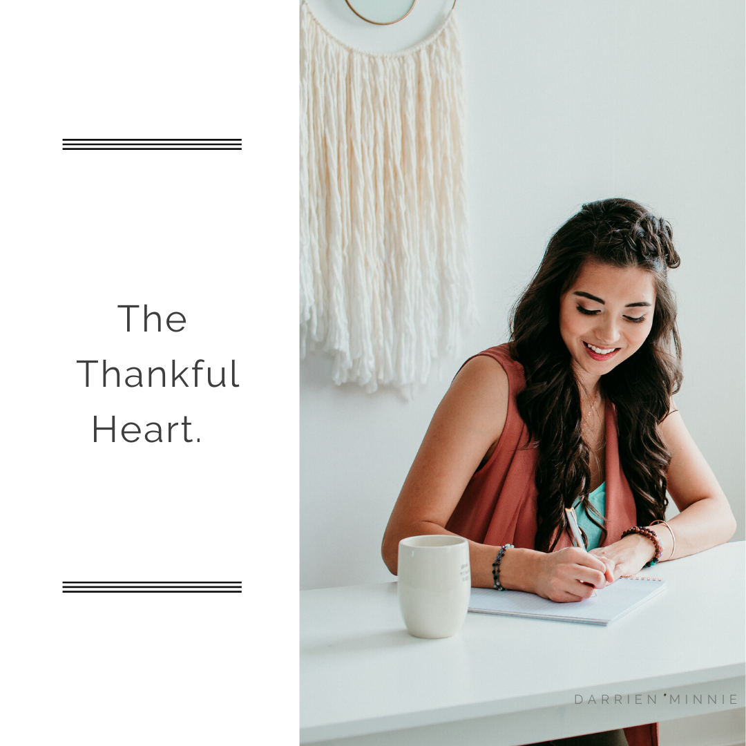 darrien fertility coaching series 4.png