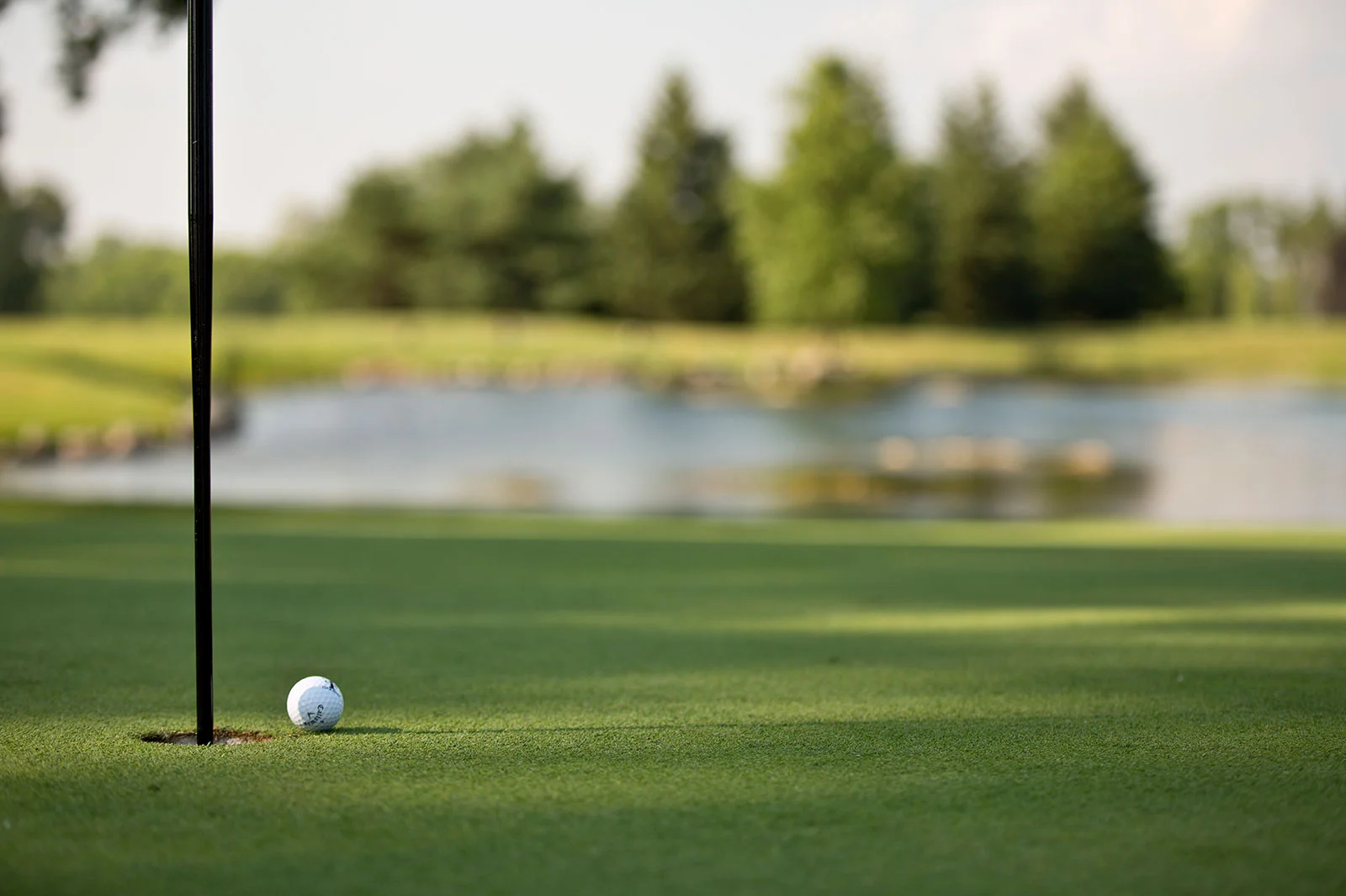 TCC-FW-Banner-1600x1066-Golf-3.jpg