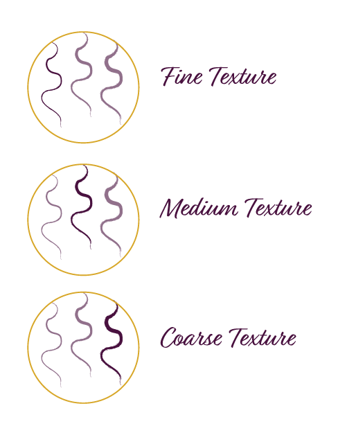 know-your-curls_texture.png