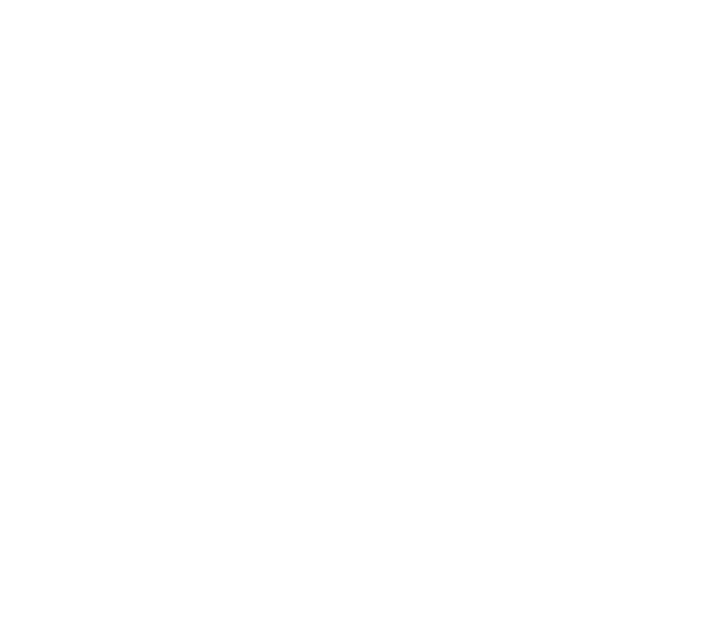 UBSIII_Logo_wht.png