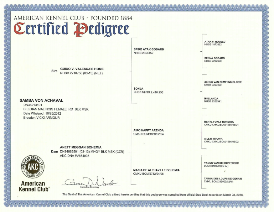 pedigree3.png