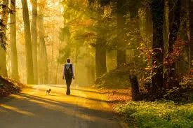 Walking