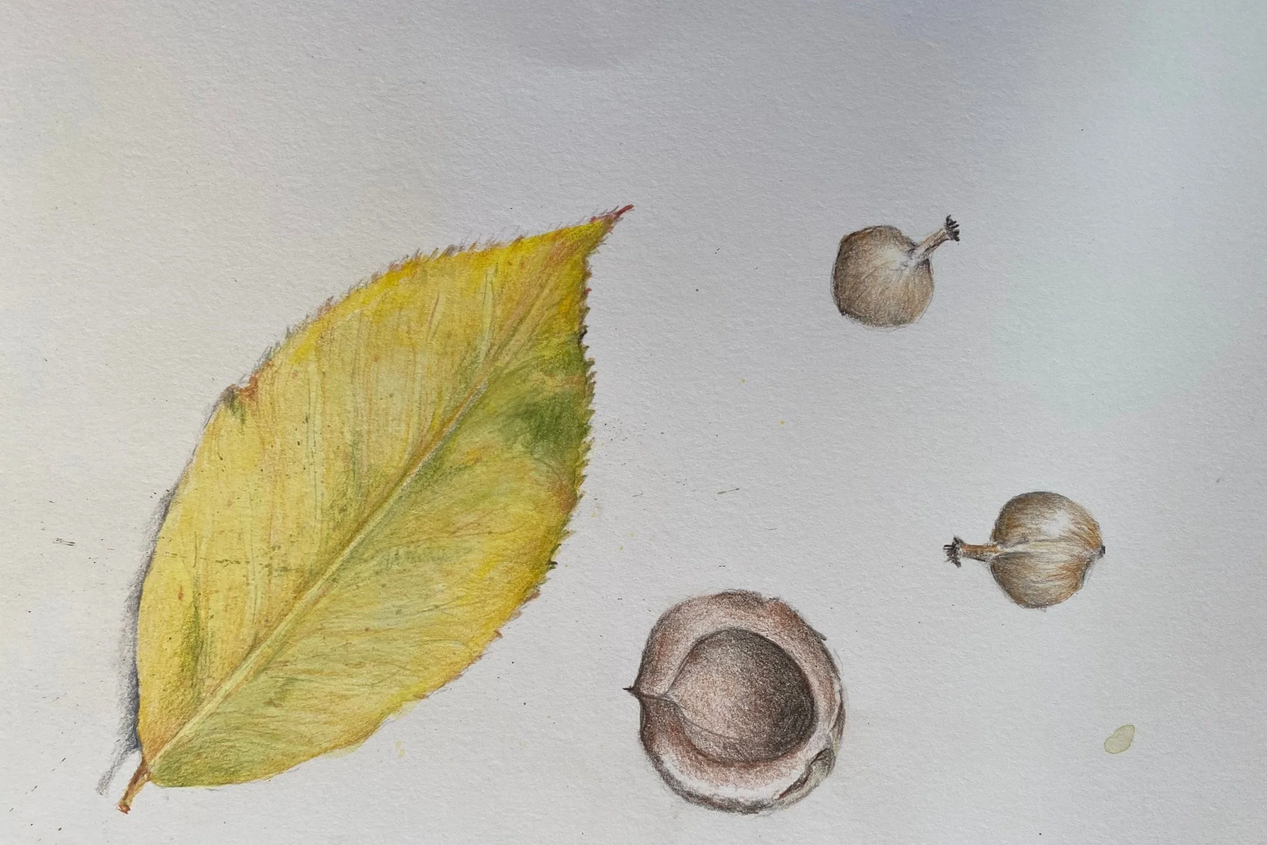Autumn