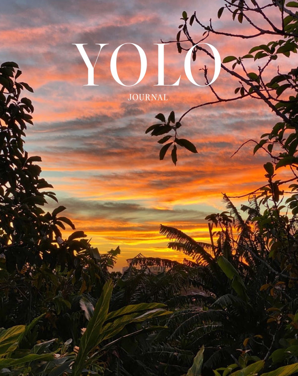 YOLO17_Cover.webp