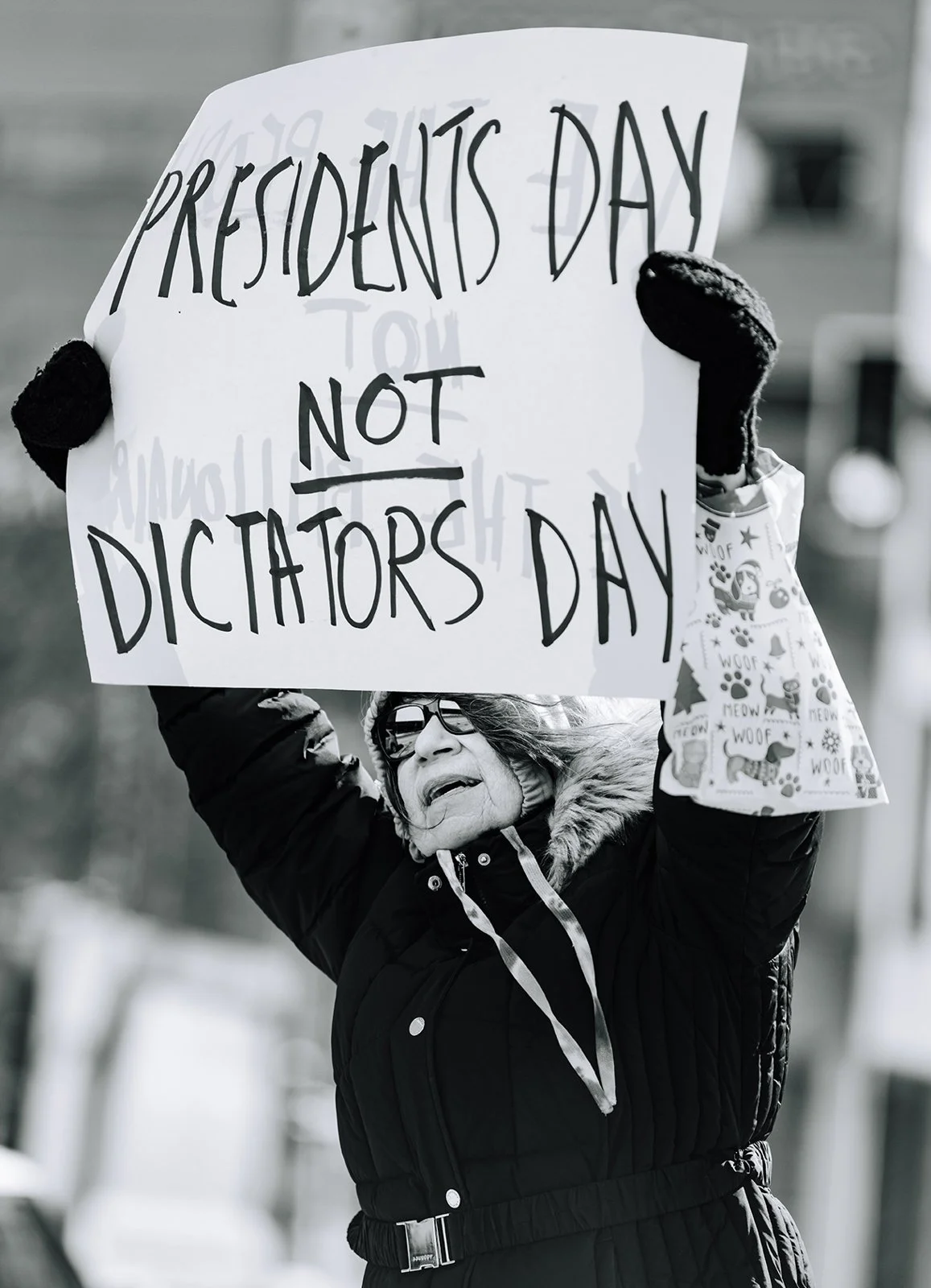 RachelVonArt_RachelVonStroup_protest_nokings_FortWayne_FortWaynePhotographer-1.jpg