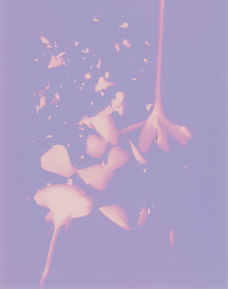 lumen007.jpg