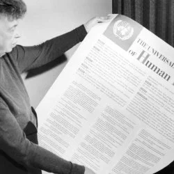 "The Importance of Eleanor Roosevelt to the Universal Declaration of Human Rights: Critical Reflections"