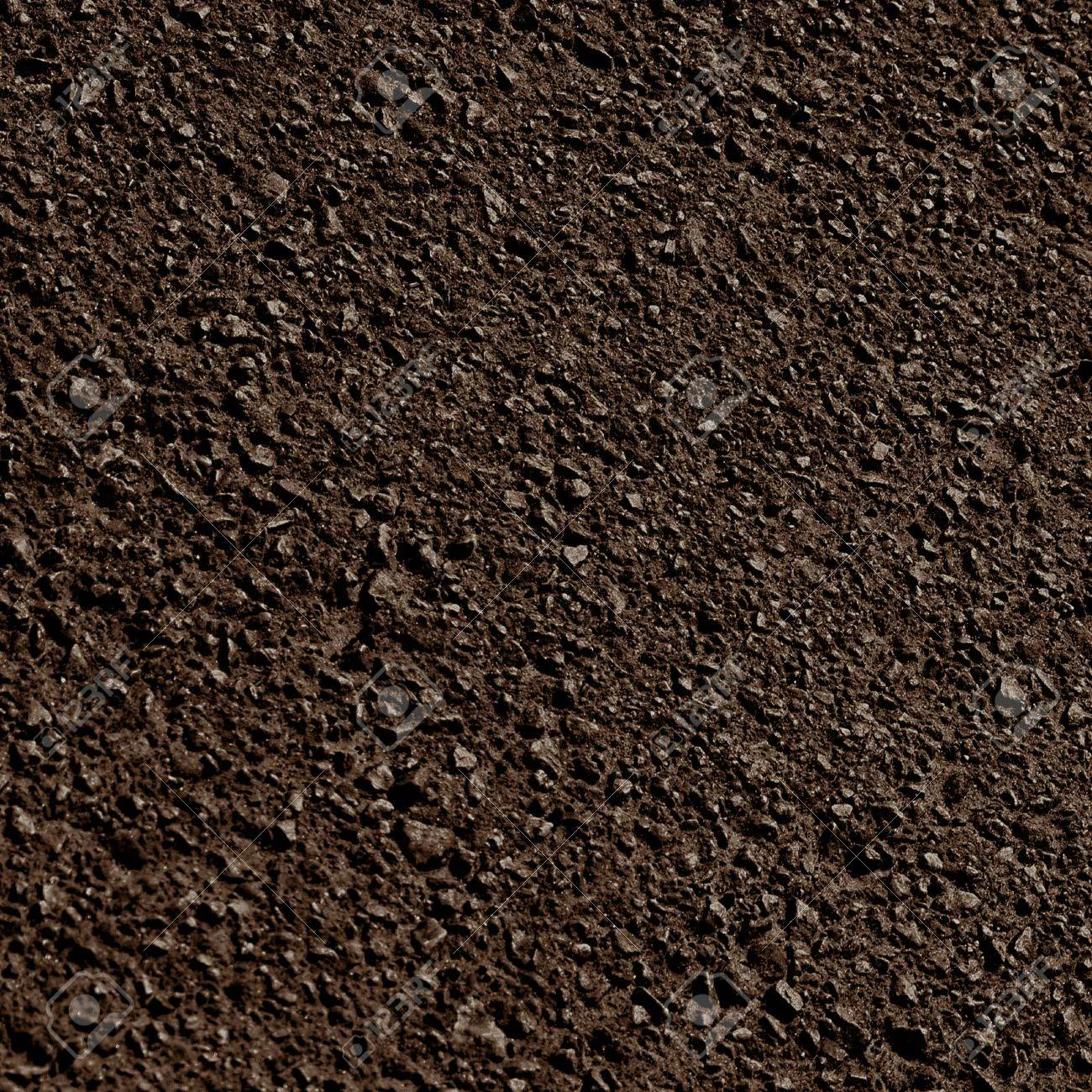 Film Screening: Dirt Rich