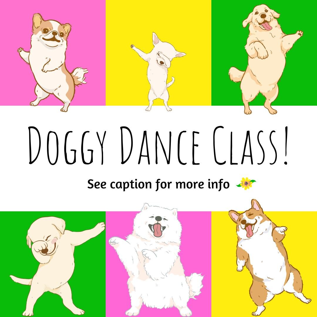 Shake your tail at Doggy Dance Class! 💕 We are now offering dance classes for our favourite furry friends! 

If you have a dog and have been wanting to teach them how to dance, stay tuned for more details! 🌸🍃 Happy April 1st everyone. 😉

#freedom