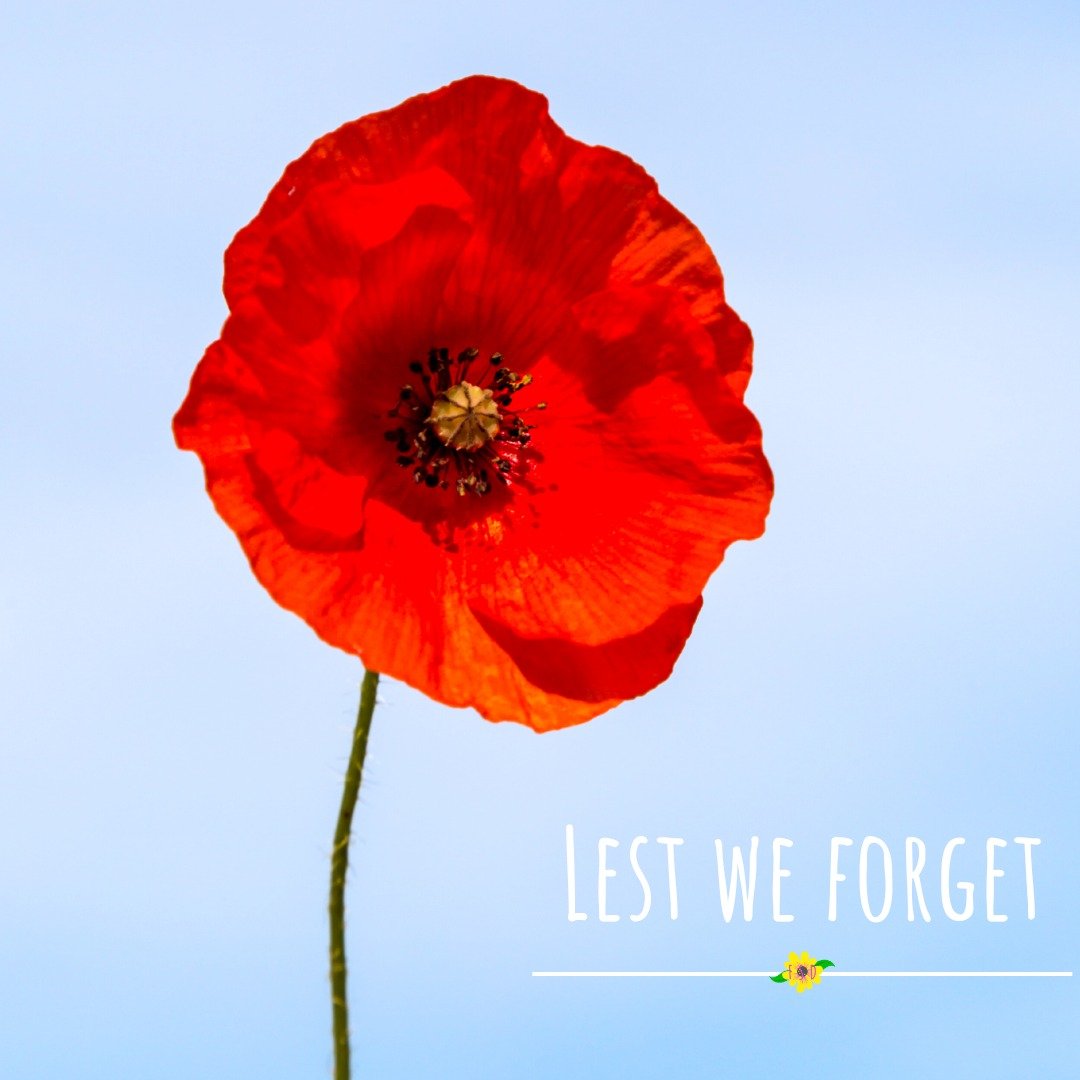 Today honour those who have made the ultimate sacrifice for our freedom. We encourage you all to take the time to remember and reflect. 

Lest we forget. ❤️

#remembranceday #lestweforget