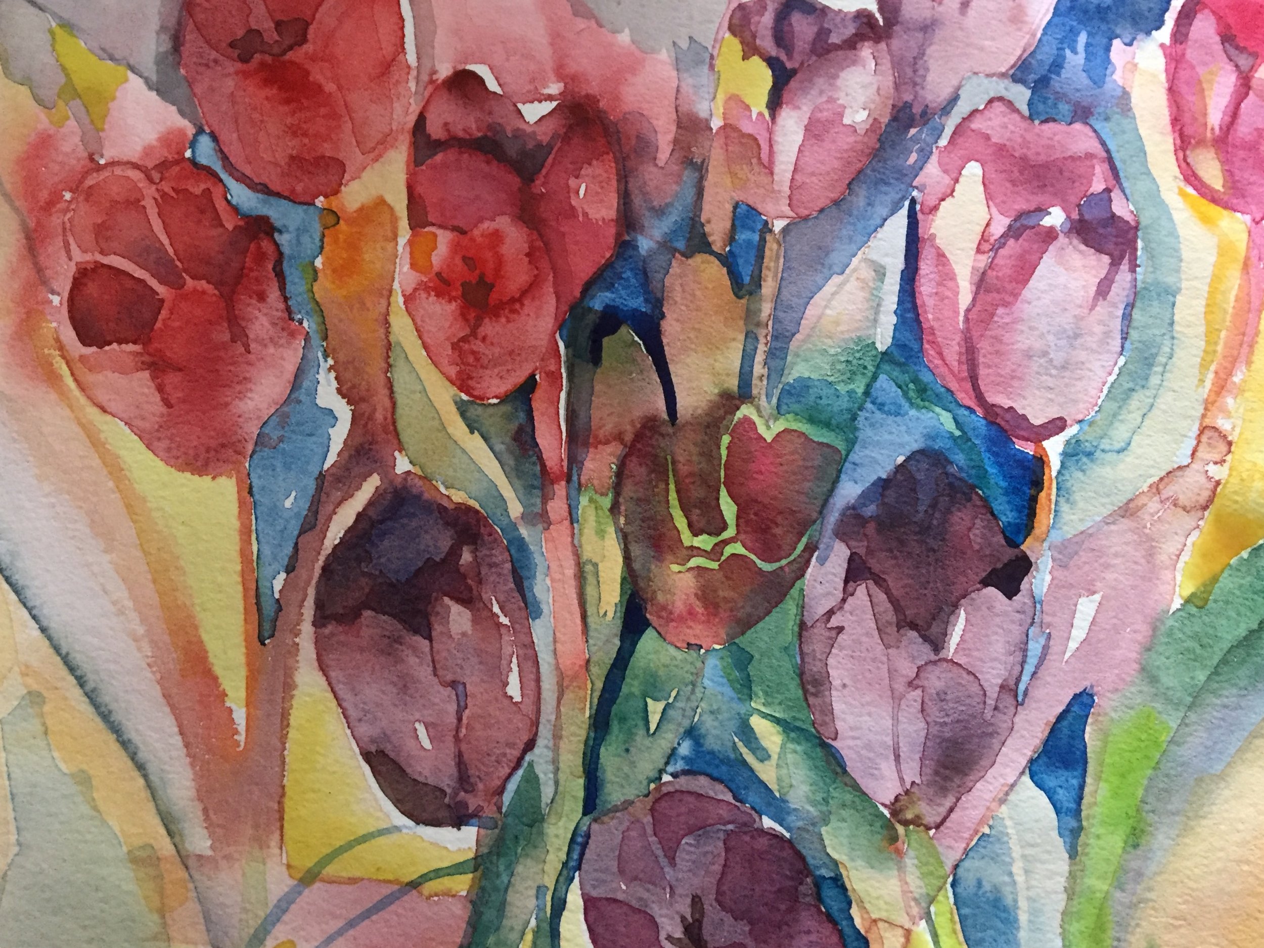 Colour Tulips