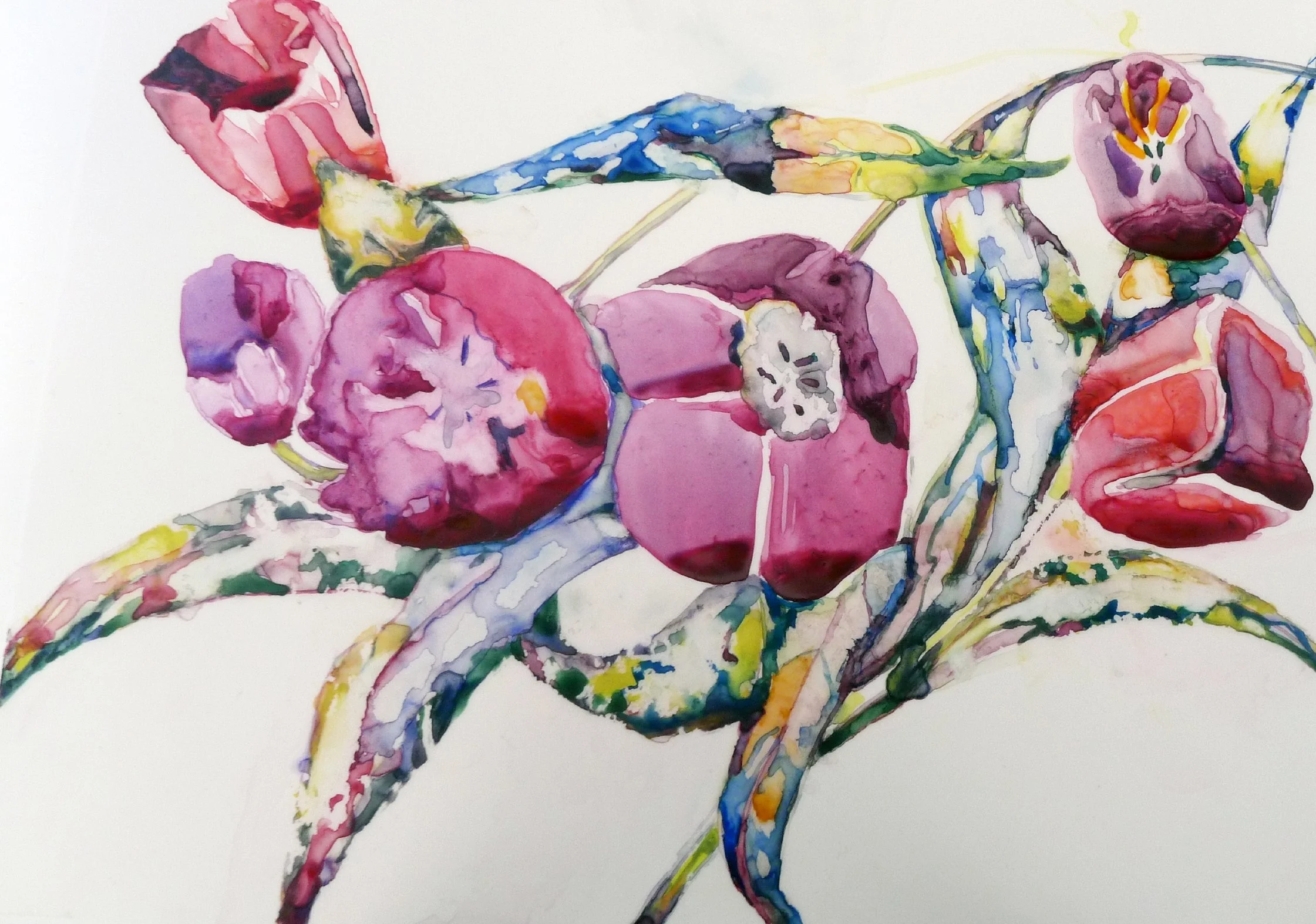 Tulips