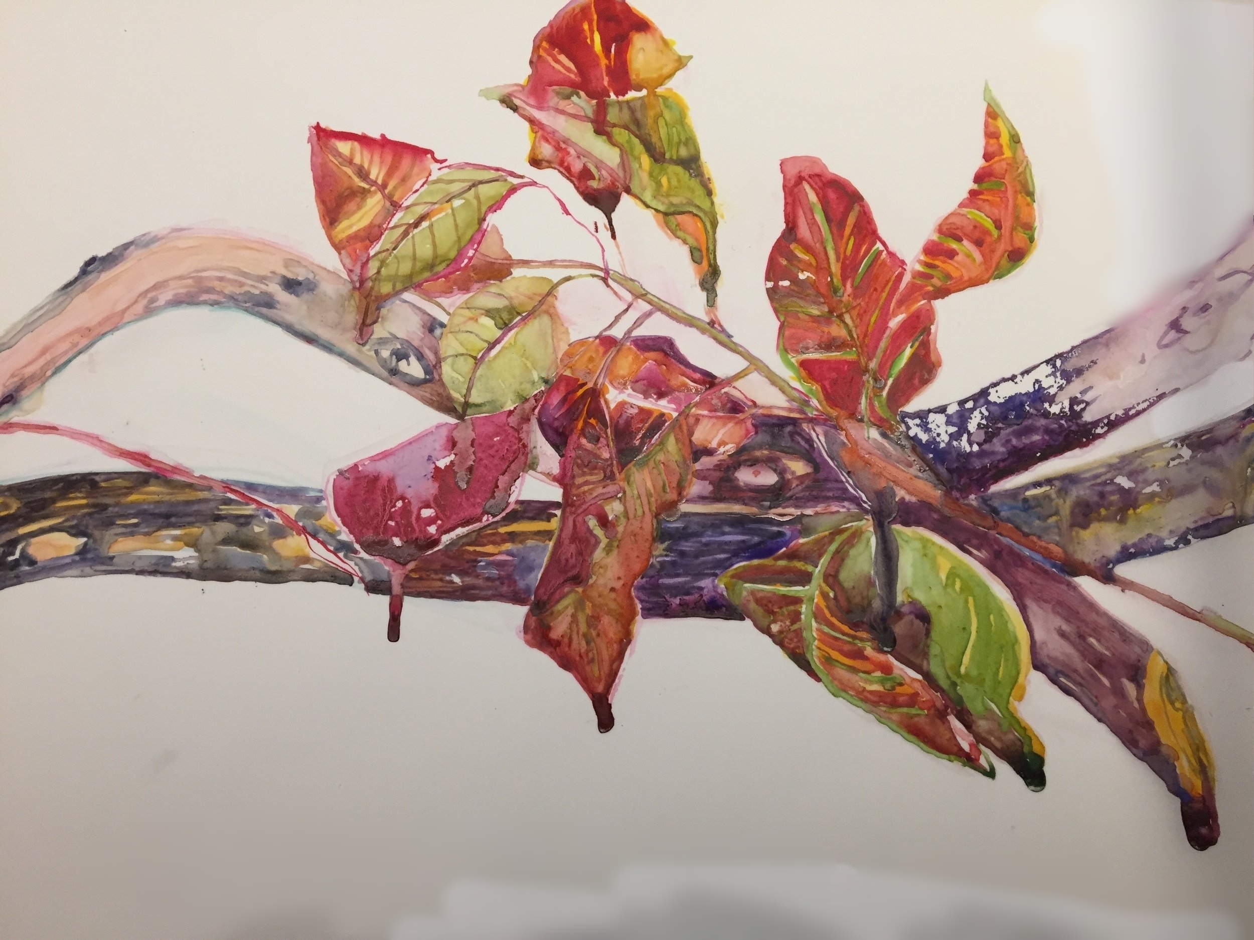 Radiant Leaves, SOLD