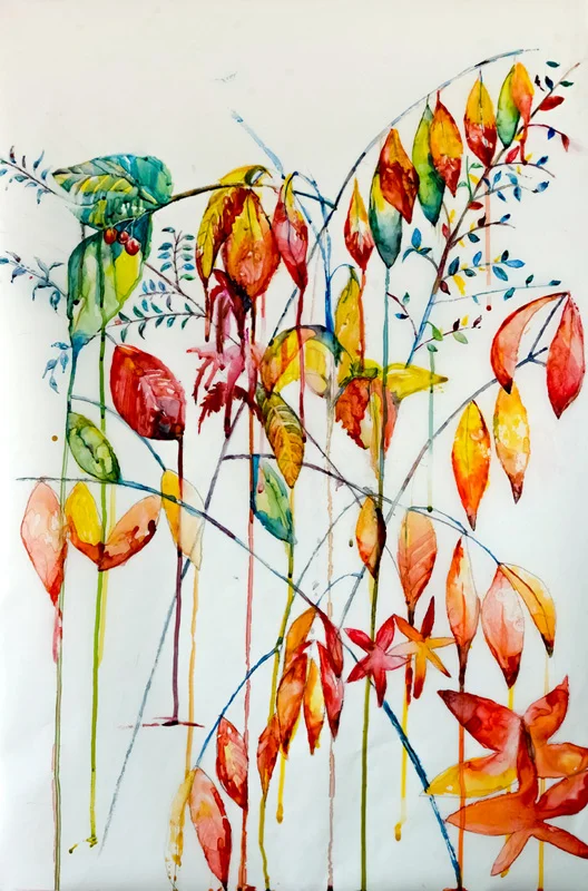 Transforming leaves Watercolour on mylar, 35”x24”, $1500.