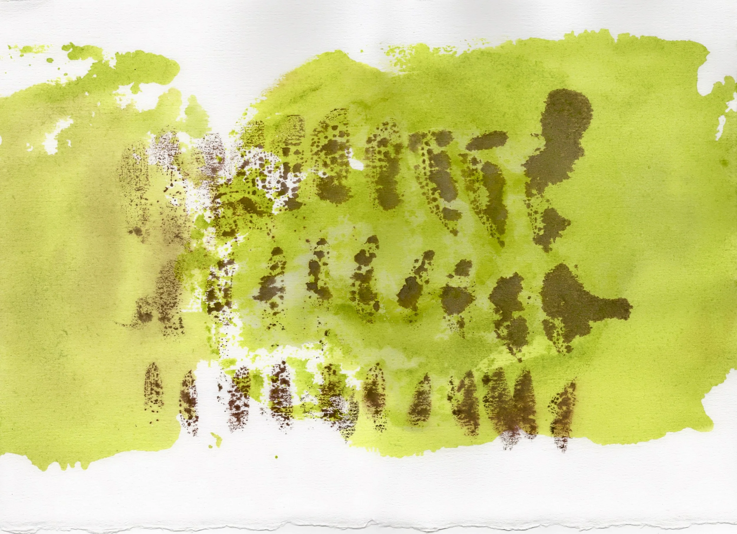 Study 6 | Watercolour and ink on paper, 10x14 inches  INQUIRE 
